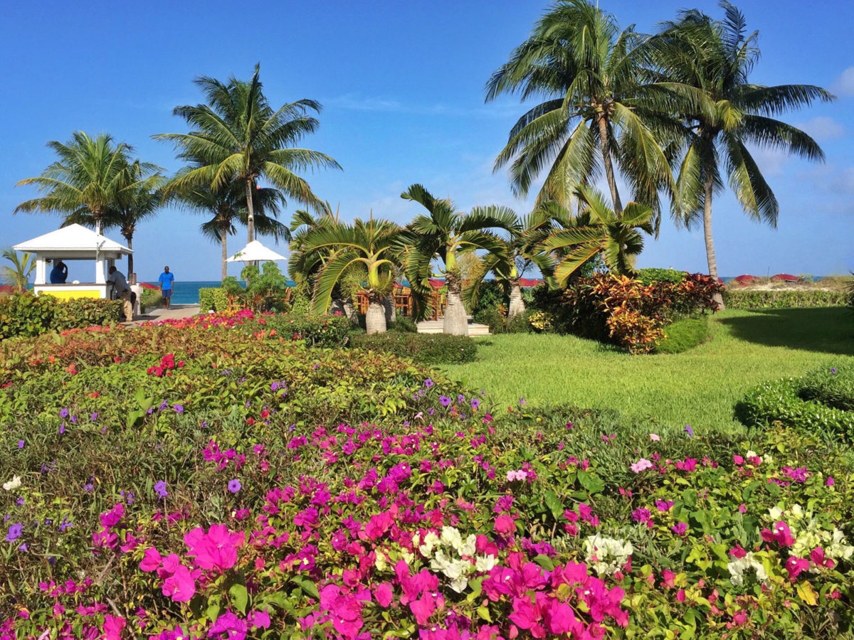 At the Royal West Indies Resort, idyllic Grace Bay Beach is just steps from your suite door through a colorful garden.