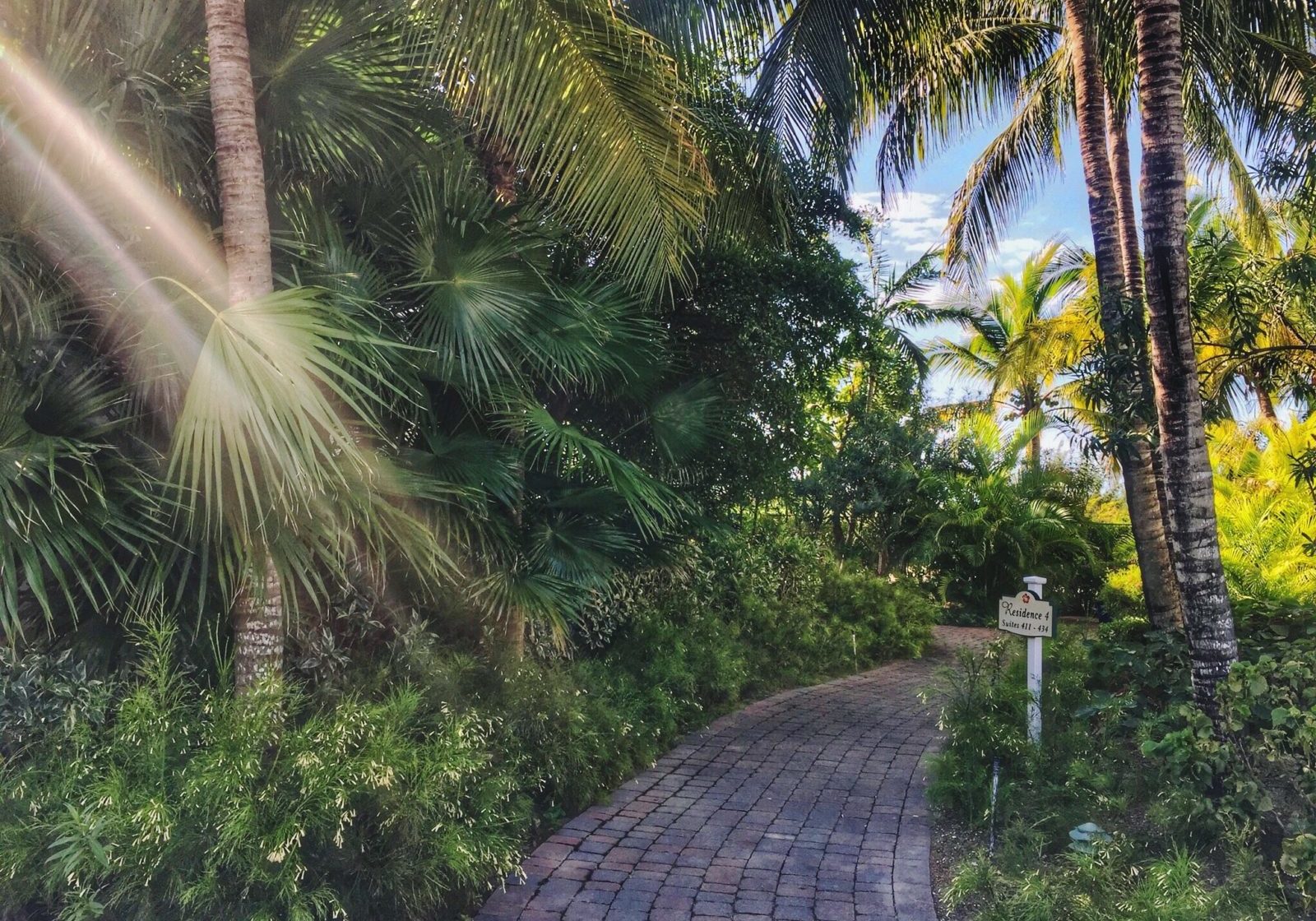 The sun shines through dense palms onto one of the resort's meandering garden paths.