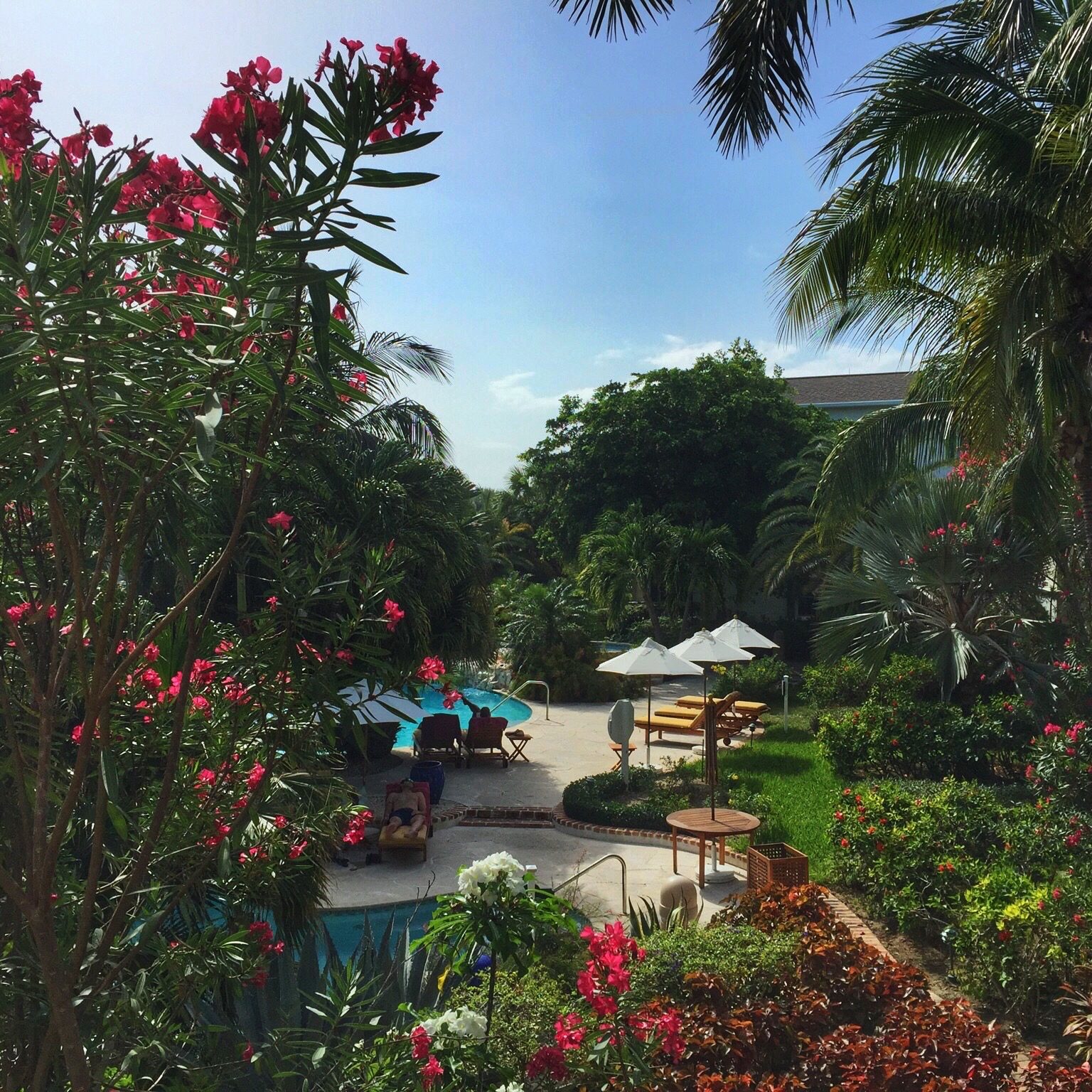 Garden view, showcasing the Royal West Indies' two freshwater pools.