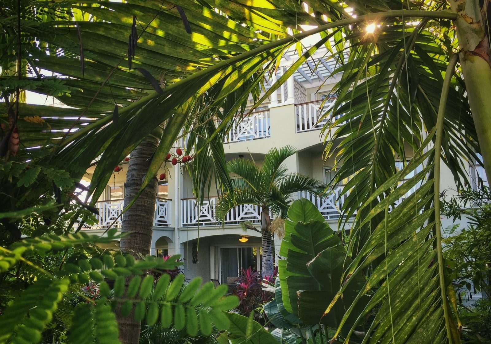 One of the Royal West Indies' guest buildings seen through poolside foliage.