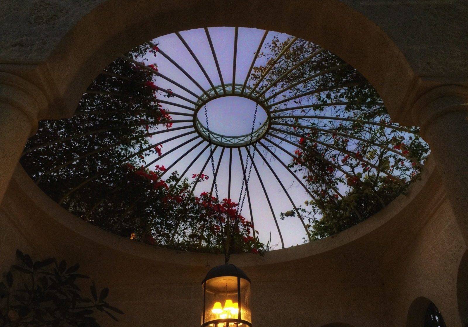 Look up at The Palms Resort.