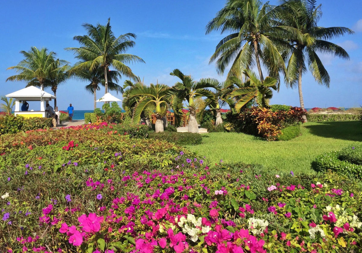 At the Royal West Indies Resort, idyllic Grace Bay Beach is just steps from your suite door through a colorful garden.