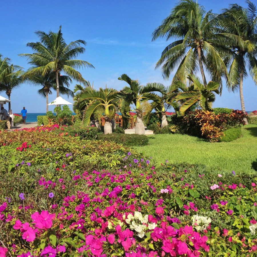 At the Royal West Indies Resort, idyllic Grace Bay Beach is just steps from your suite door through a colorful garden.