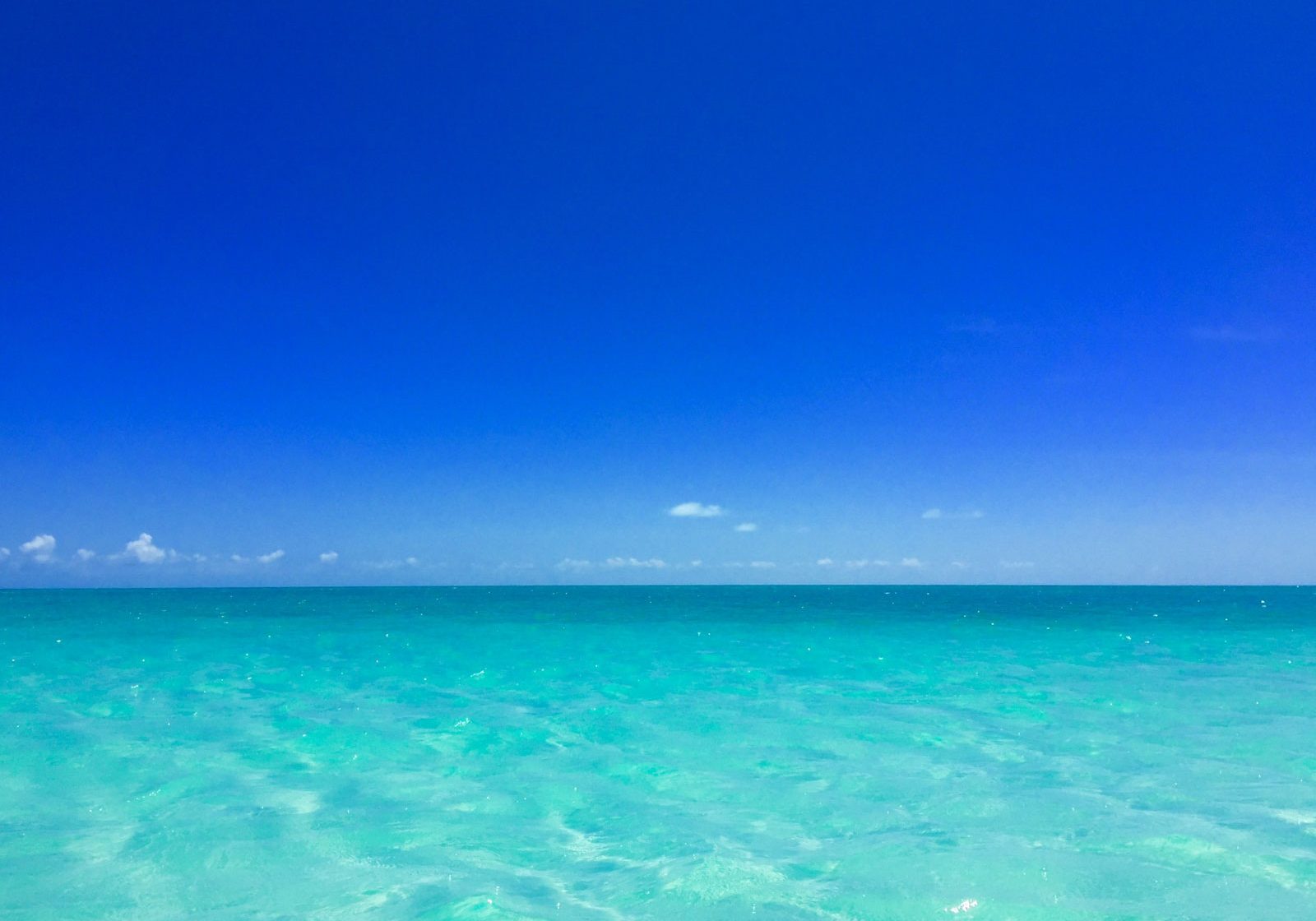 Taylor Bay offers clear water and blue sky's in this dreamy picture—The Turks and Caicos Islands